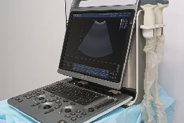 A blue-covered laptop and monitor, illustrating the veterinary sonography machine from the Shree Danev Foundation.