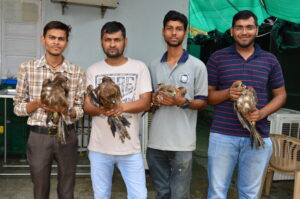 Four men proudly holding birds in their hands, showcasing a moment of connection with nature and wildlife.