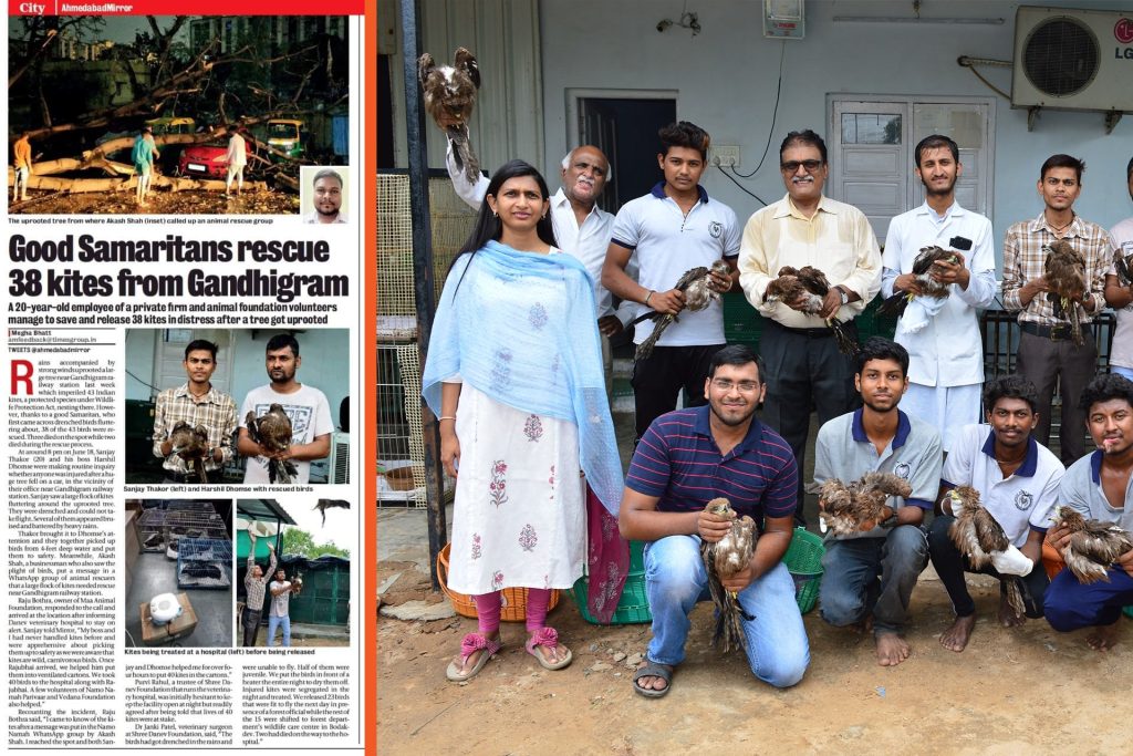 An article showcasing a group of people with chickens, detailing the Shree Danev Foundation's rescue of 38 kites from Gandhigram.