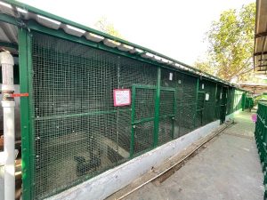 A large green cage with a sign, situated within the Shree Danev Foundation's Animal Hospital facilities for animal care.