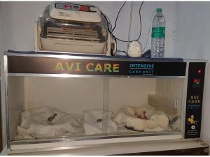 An Avi Care incubator at Shree Danev Foundation, designed for egg incubation and brooding in animal hospital facilities.