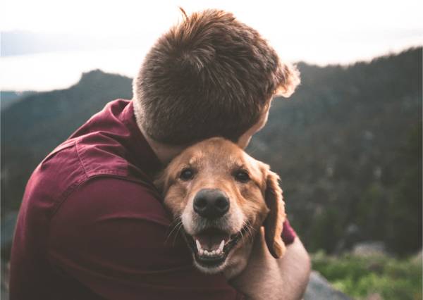 A happy golden retriever being lovingly hugged outdoors, symbolizing warmth and companionship, with hills and trees in the background.