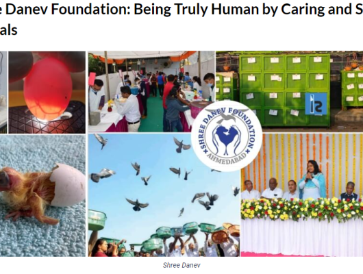 A vibrant collage showcasing diverse images of people and animals, representing the Shree Danev Foundation's mission.