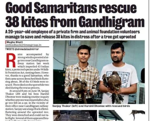 News article showing initiative for abandoned animal care by Shree Danev Foundation.